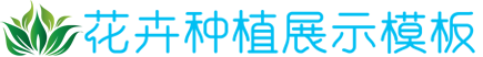 快盈VIII